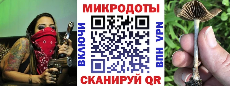 Галлюциногенные грибы Psilocybine cubensis хочу наркоту блэк спрут tor Спасск-Дальний