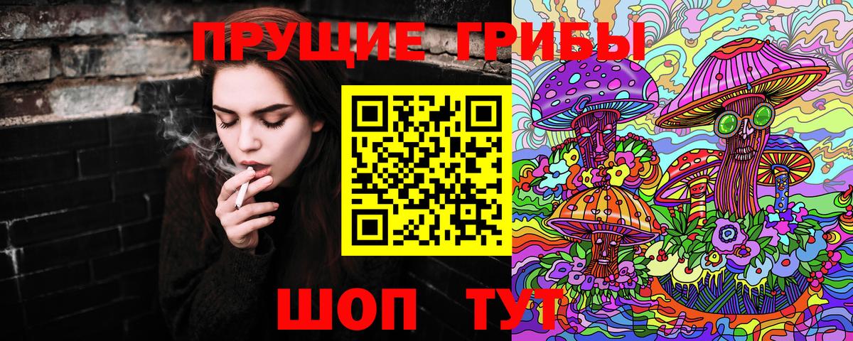 Галлюциногенные грибы Psilocybine cubensis Спасск-Дальний