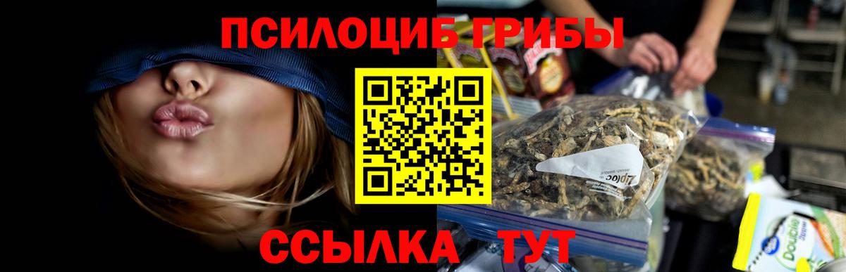 Галлюциногенные грибы Psilocybine cubensis  как найти наркотики  Спасск-Дальний  Вход с VPN 